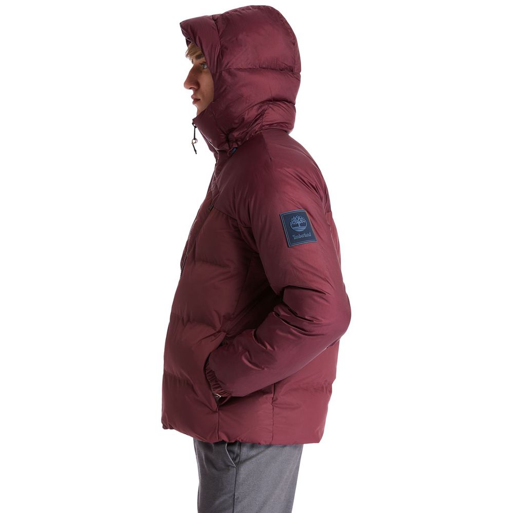 Timberland Mens Jackets Neo Summit Hooded Winter - Burgundy - India ZN3598427